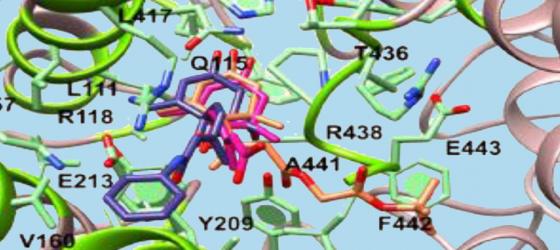 Biochimica Strutturale e Cellulare 